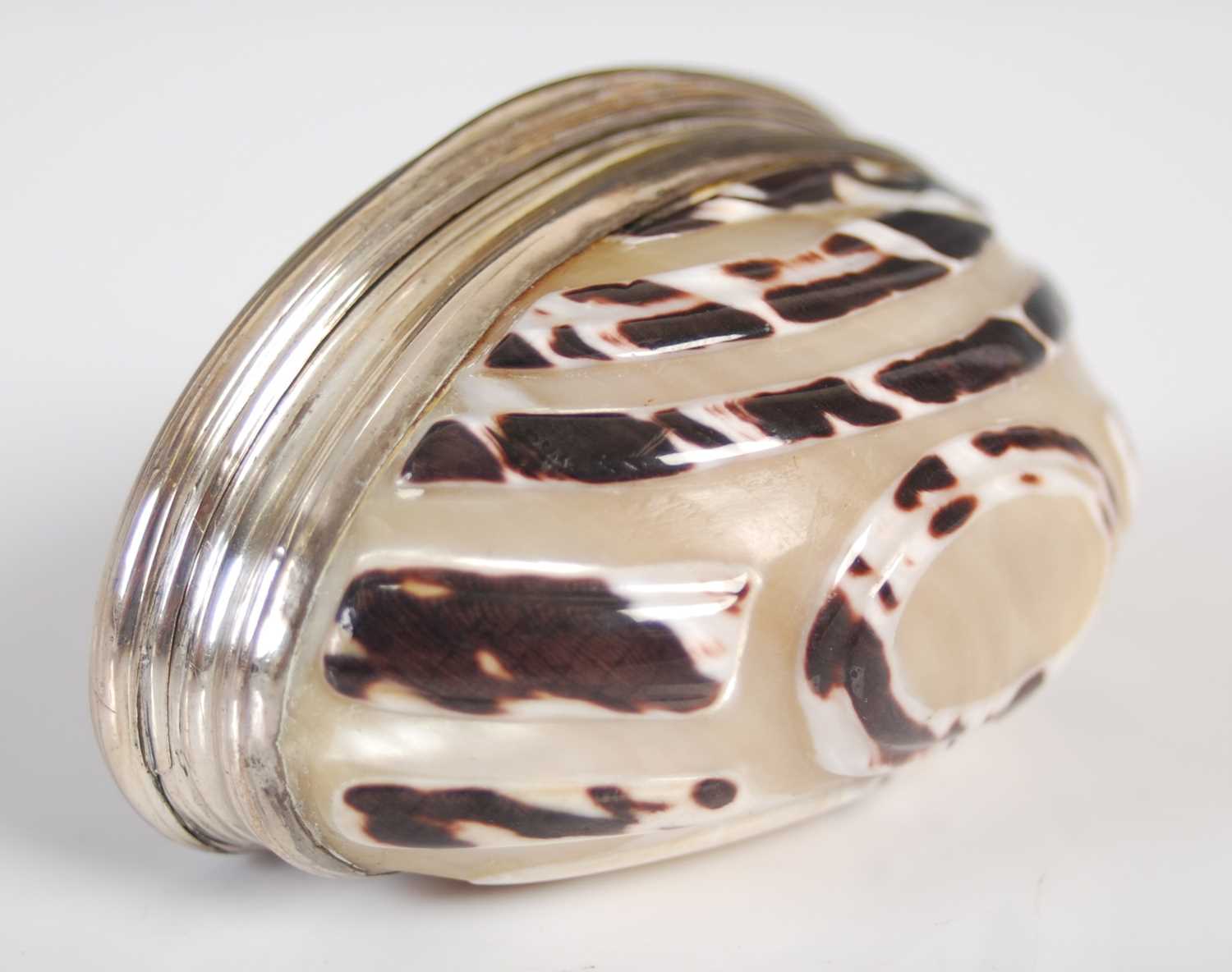 A Cittarium Pica ‘magpie’ shell snuff box, carved to produce a decorative design, with reeded silver