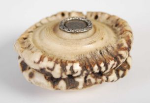 A Scottish antler horn snuff box with tight fitting pull-off cover, applied with silver disc