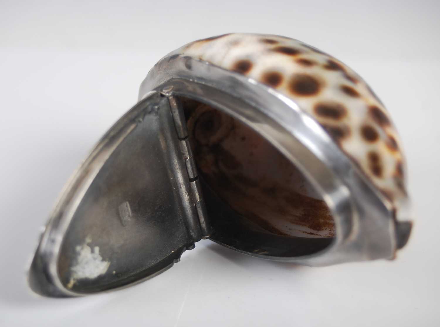 A Scottish silver-mounted cowrie shell snuff box, the three-quarter hinged cover engraved with - Image 4 of 4