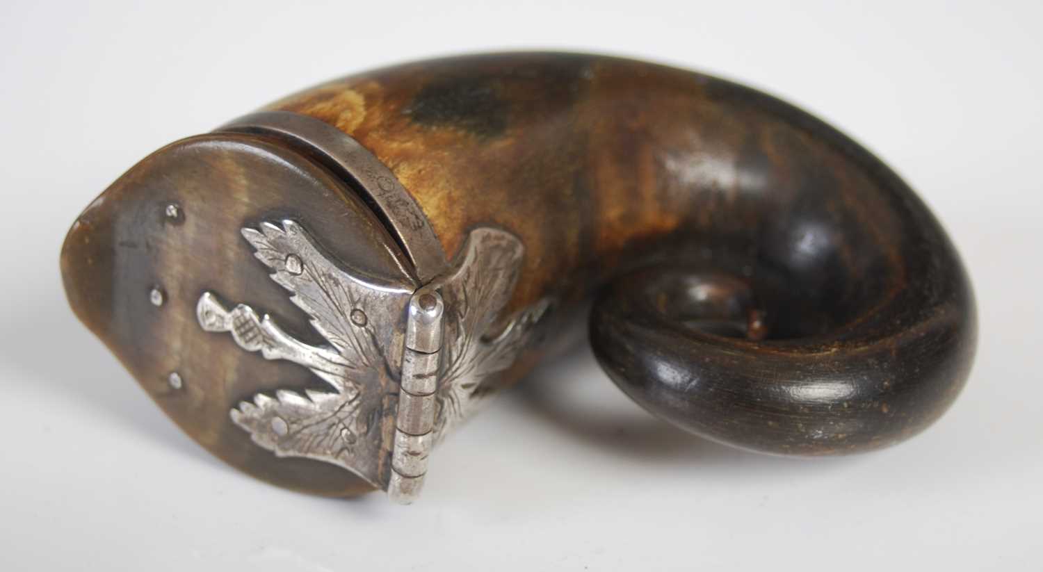 Coin interest - a Scottish curly horn snuff mull with silver butterfly-shaped hinge engraved with