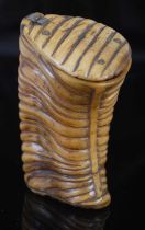 A unusual Scottish ram’s horn curved upright snuff mull, carved to accentuate the natural ridges