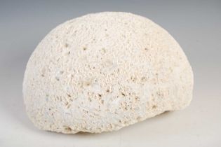 A coral specimen, approximately 31cm diameter x 19cm high.