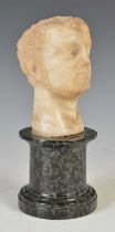 Antiquities - An antique white marble bust, possibly Roman, thought to be Octavian (Augustus