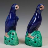 A pair of Chinese porcelain aubergine, blue and green glazed models of hawks, 21.5cm high.
