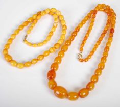 A butterscotch amber necklace, formed from a row of graduated amber beads, gross weight 34.6