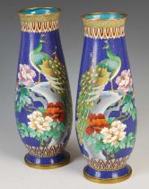 A pair of Chinese blue ground cloisonne vases, late 19th / early 20th century, decorated with a pair