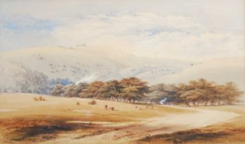 S. Lewis (19th century) A meadow with cattle grazing watercolour, signed lower left 26.5cm x 45.5cm,