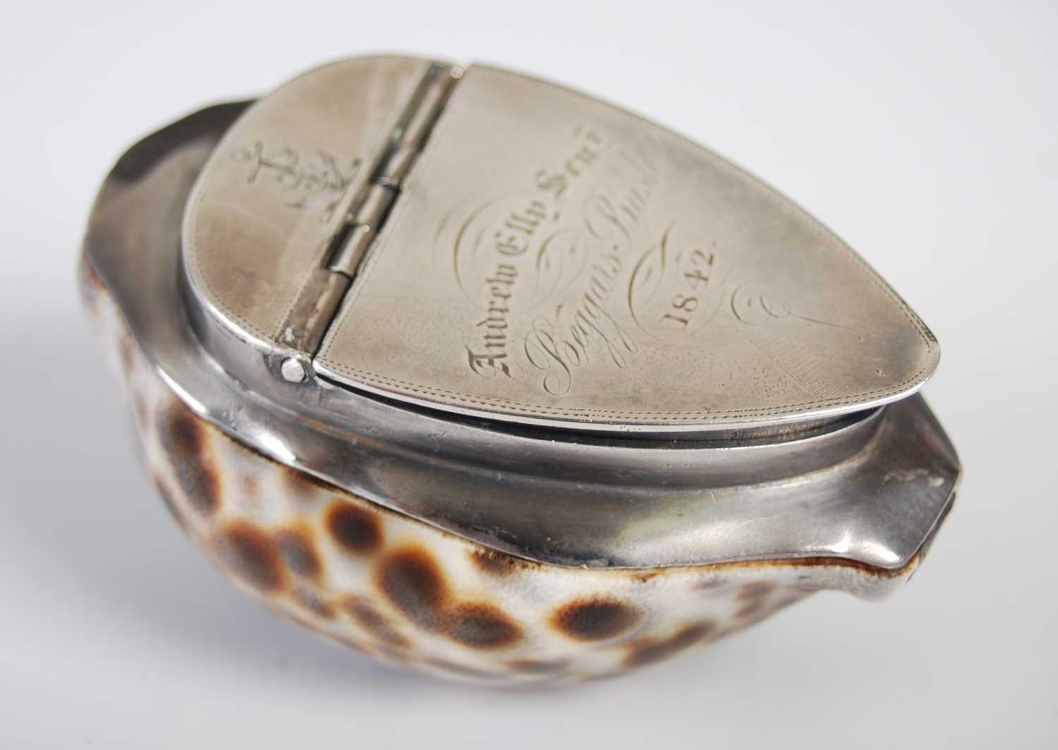 A Scottish silver-mounted cowrie shell snuff box, the three-quarter hinged cover engraved with