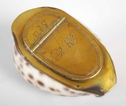 A large cowrie shell snuff box with brass mounts, the hinged cover engraved with a water jug and