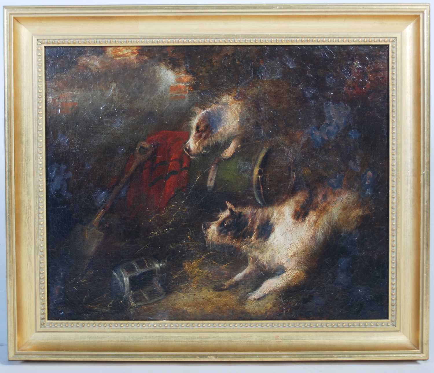 19th century British School Two terrier dogs oil on canvas 41cm x 51cm, framed 52cm x 63cm - Bild 2 aus 4