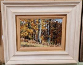 ARR Alan B. Hayman (b.1947) Autumn oil on canvas board, signed and dated '00 lower left 17cm x 24.