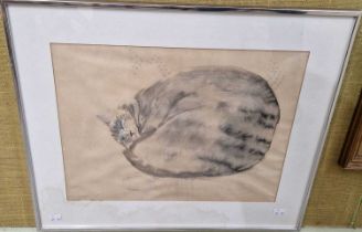 ARR Barbara Robertson (b.1945) Mitch - portrait of a sleeping cat watercolour, bearing label verso
