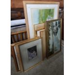 A collection of thirteen assorted decorative pictures and prints to include a limited edition