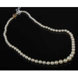 An 18ct gold mounted single strand graduated pearl necklace.