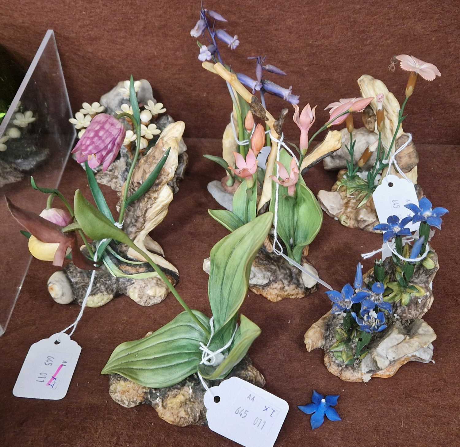 A group of seven Boehm porcelain figure groups to include 'Fritillary', 'Red Helleborine', '