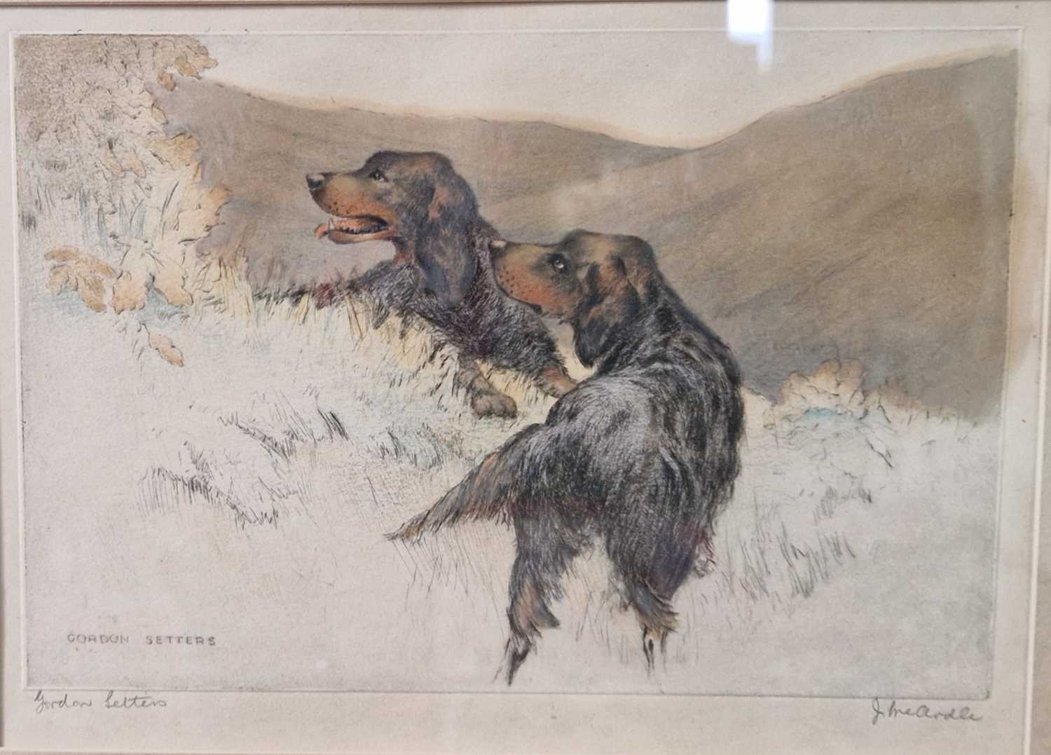 James McArdle Gordon Setters coloured etching, signed lower right, inscribed lower left framed and - Image 2 of 2