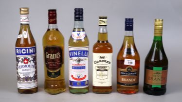 Collection of spirits to include whisky, bourbon and brandy etc.