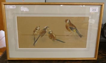 Ornithological watercolour study by Frank Dobson monogrammed FD - Approx image size 33cm x 15cm