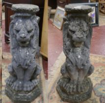 Pair of stone garden lions - Approx height: 71cm