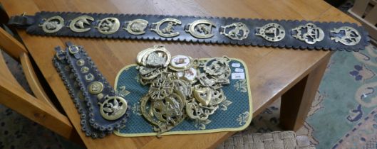 Collection of horse brasses