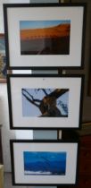 3 L/E wildlife photographs