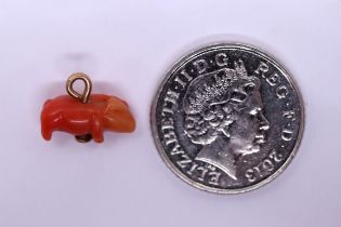 Miniature carved coral pig on 9ct gold hoop