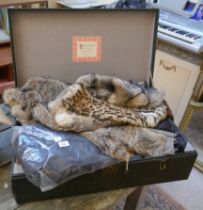 Collection of furs to include coats and fur vault box