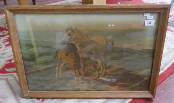 Glass framed oil on board of a mare and foal indistinct signature