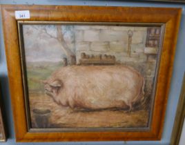 Oil on board of a pig signed Townsend - Approx 40cm x 34cm