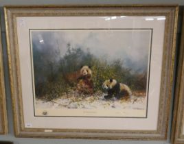 David Shepherd L/E Print THE PANDAS OF WOLONG (803/1500)