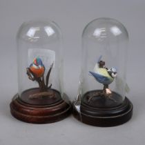 2 miniature hand painted birds in glass domed cases