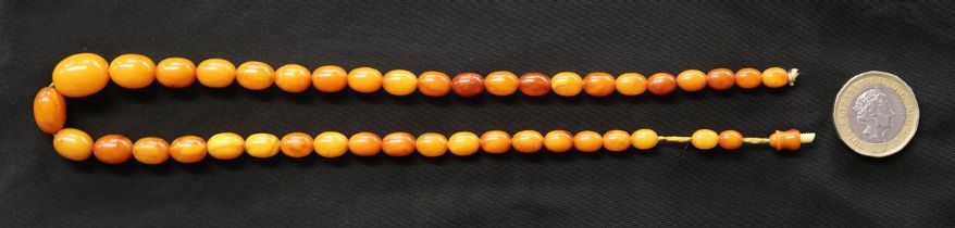 Amber necklace A/F