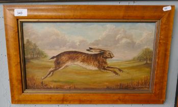 Oil on board of a hare signed Townsend - Approx 42cm x 22cm