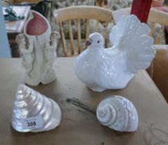 Collection of ceramics and shells