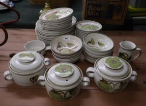 Large collection of Denby Troubadour
