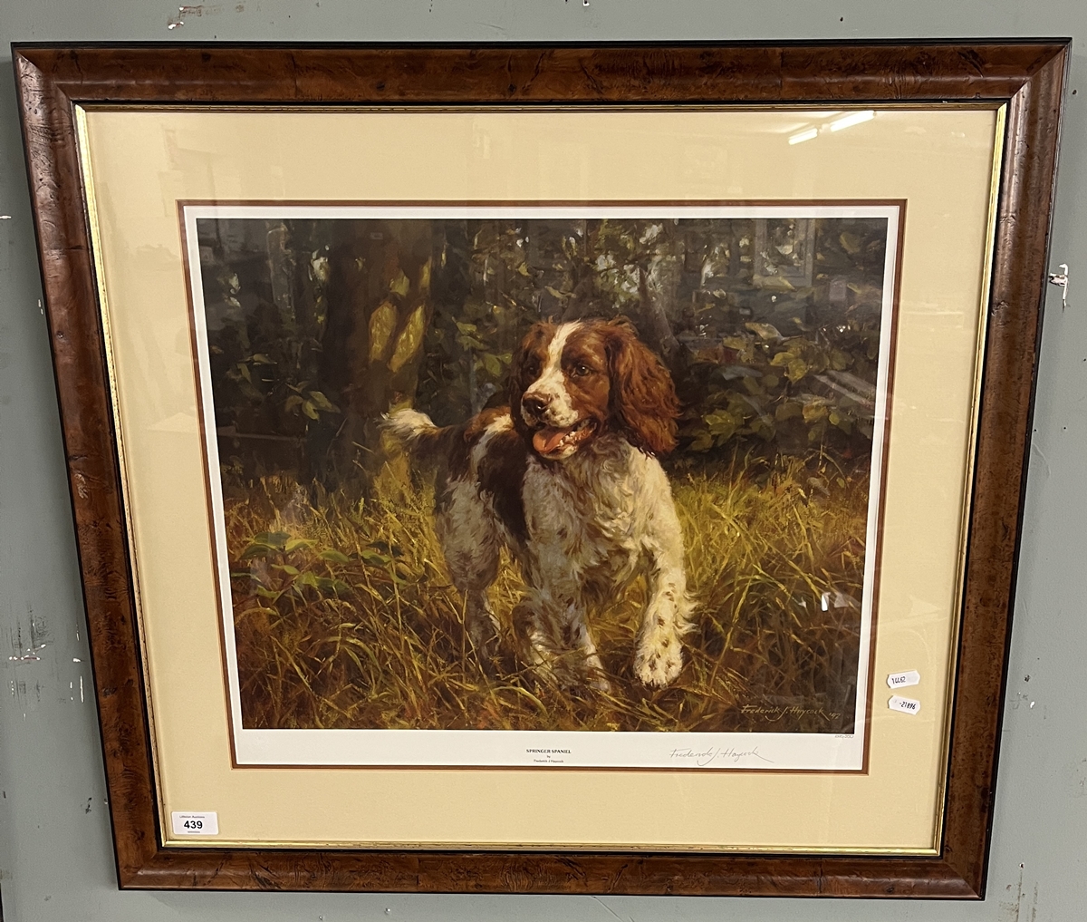 L/E print Springer Spaniel by Frederick J Haycock 225/350 - Approx 74cm x 67cm