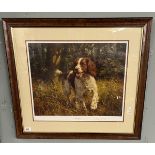 L/E print Springer Spaniel by Frederick J Haycock 225/350 - Approx 74cm x 67cm