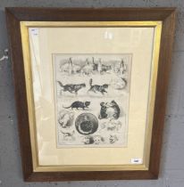 Louis Wain cat print