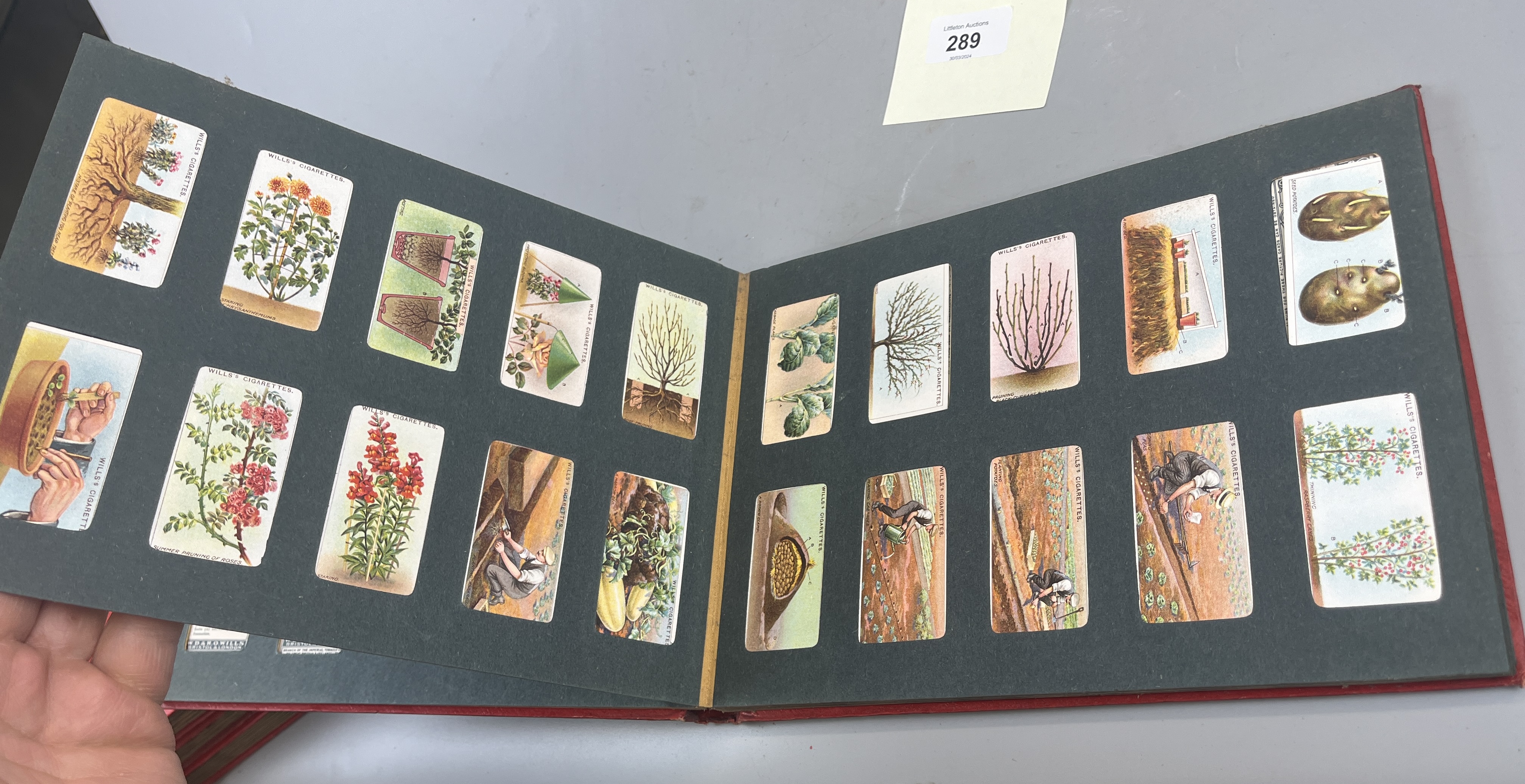7 well populated Wills cigarette albums - Image 27 of 44