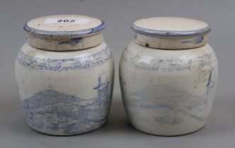Pair of early blue and white ginger jars