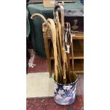 Collection of walking sticks together with a shooting stick