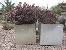 Pair of square plastic planters with plants