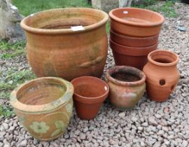 Various terracotta pots