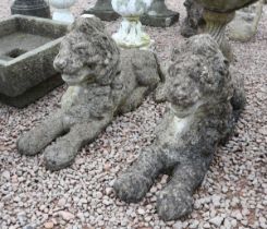 Pair of stone recumbent lions A/F