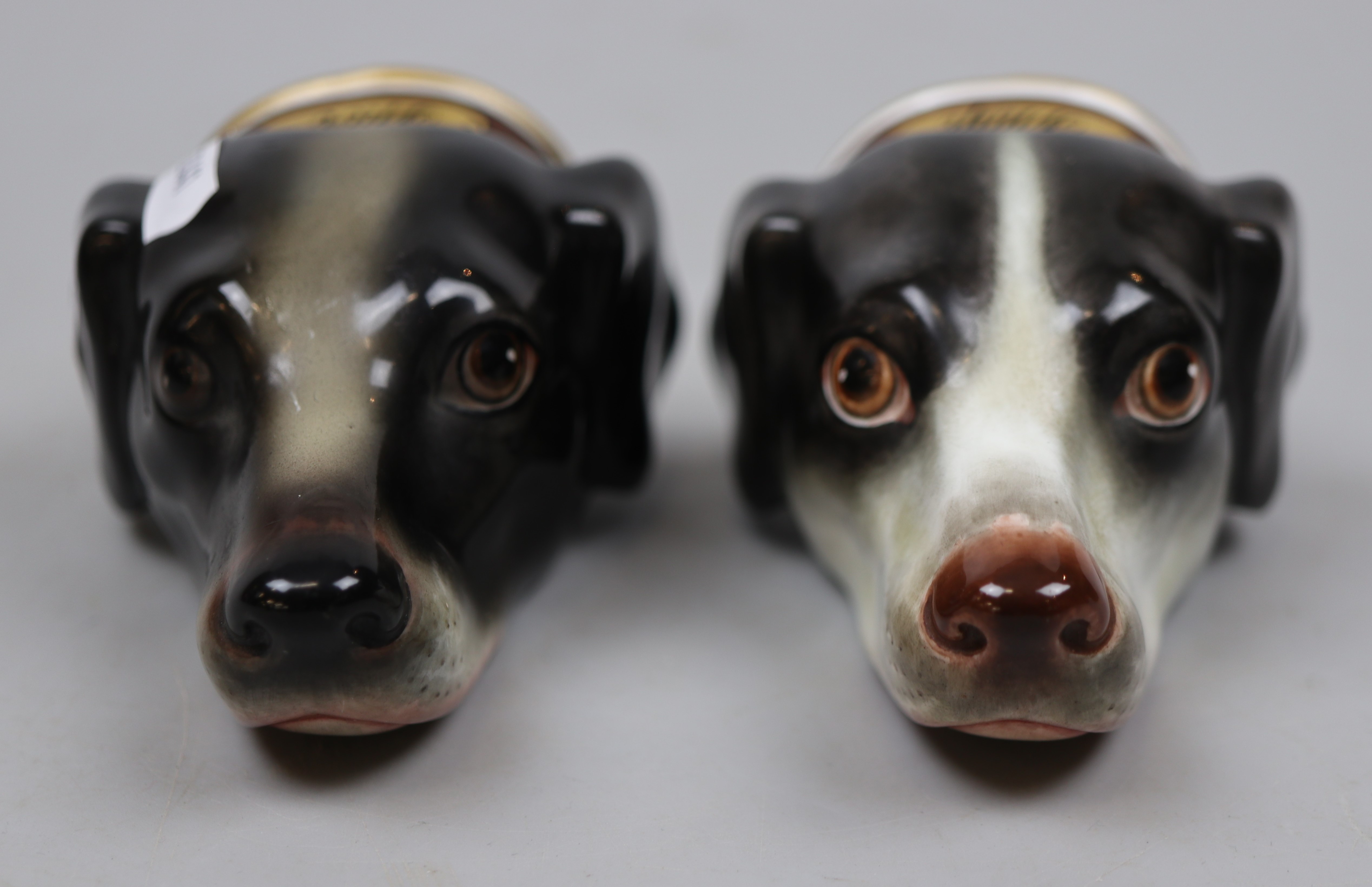 Pair of ceramic stirrup cups in the form of dogs - Image 3 of 5
