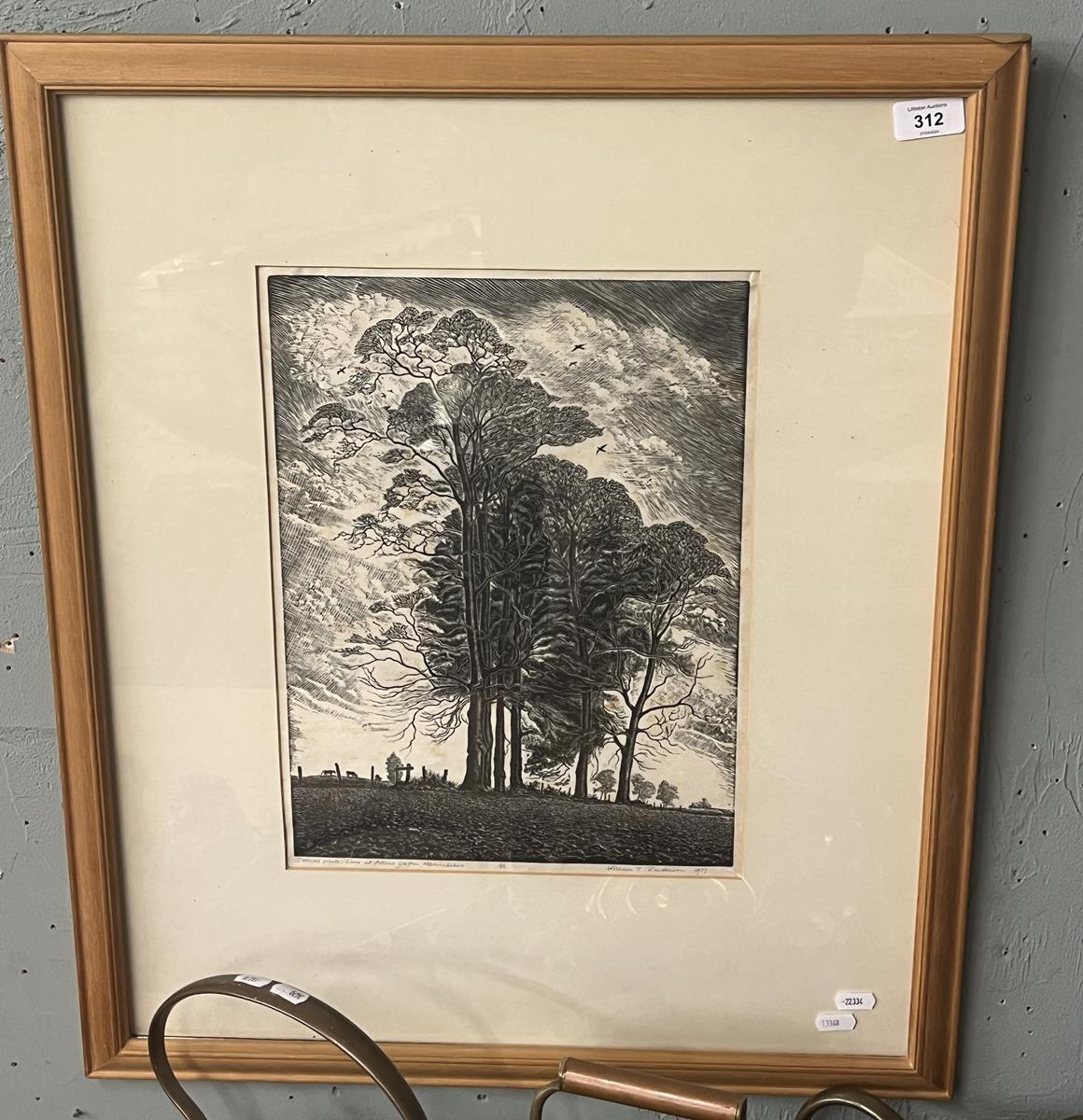 Framed woodcut L/E print - Doomed Giants. Elms at Ardens Graften 1/50 William T Rawlinson 1977