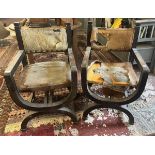 Pair of X framed chairs upholstered with animal hides