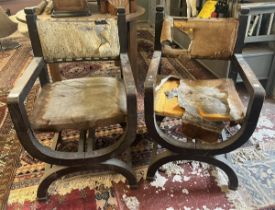 Pair of X framed chairs upholstered with animal hides