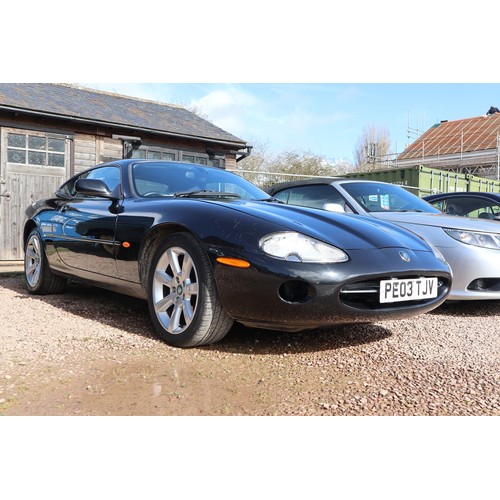 2003 Jaguar XK8 4.2 146,000 - Current owner has owned the car since 22/3/2011 (13 years) and it's - Image 4 of 19