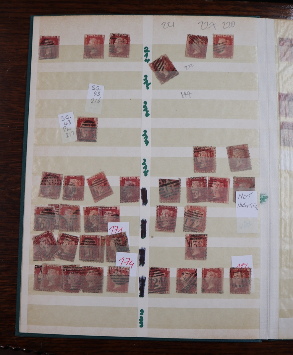 Stamps - Great Britain stock book of 1d red plates, mixed condition - Image 3 of 5
